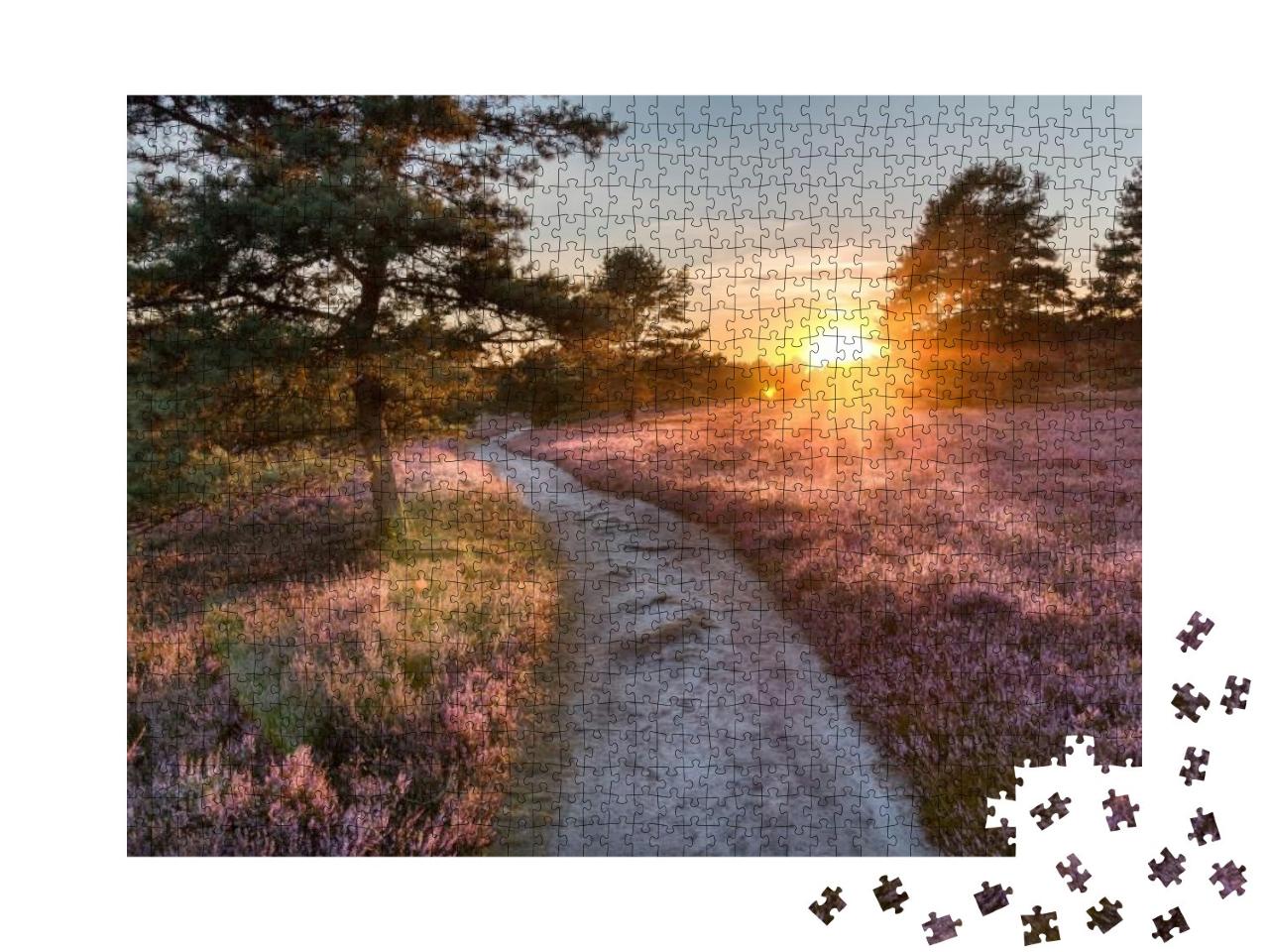Puzzle 1000 Teile „Pfad durch Heideflächen mit blühendem Heidekraut“