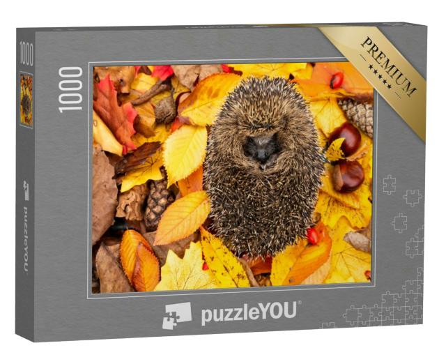 Puzzle 1000 Teile „Eingerollter Igel, schlafend im Herbstlaub“