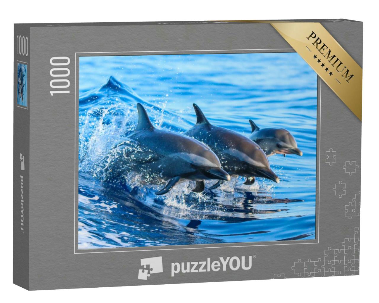 Puzzle 1000 Teile „Familie von Fleckendelfinen springt aus dem klaren blauen Wasser vor Hawaii“
