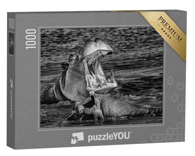 Puzzle 1000 Teile „Nilpferd mit weit aufgerissenem Maul, Okavango-Delta, Botswana“
