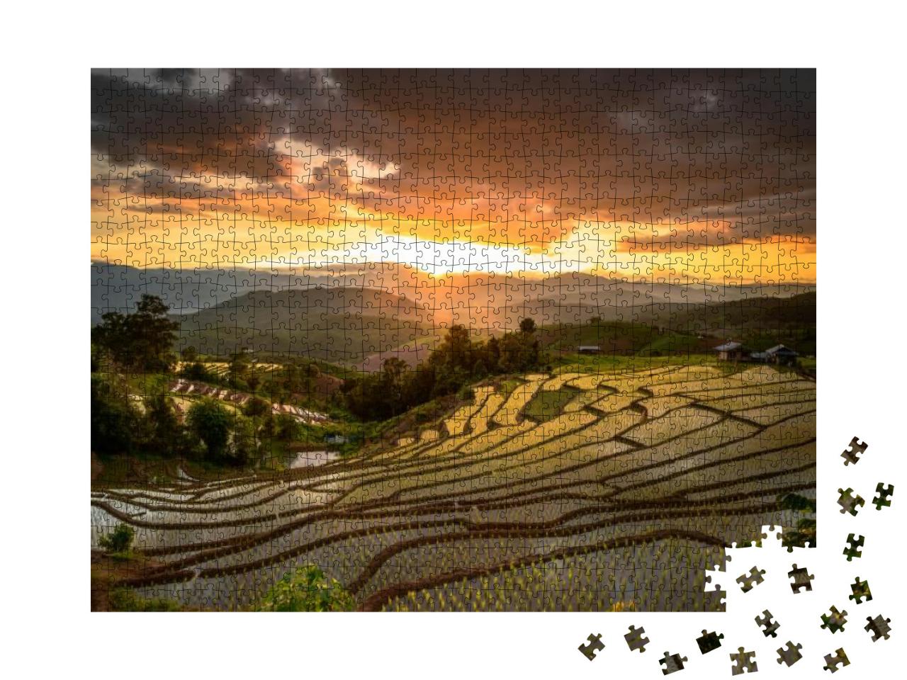 Puzzle 1000 Teile „Reisfelder bei Sonnenuntergang, Chiang Mai, Thailand“