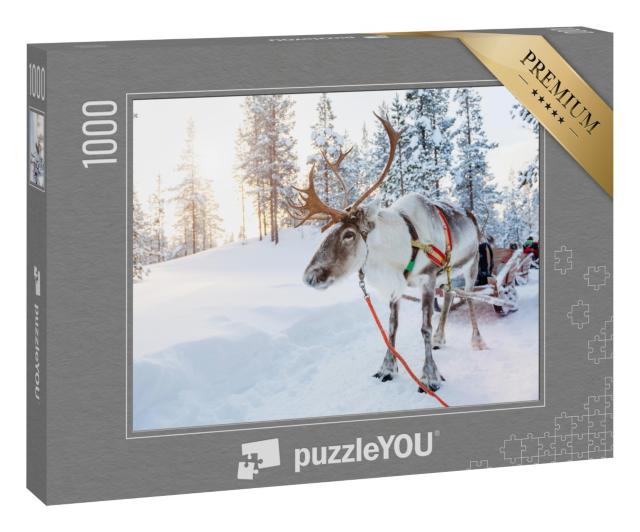 Puzzle 1000 Teile „Rentiere in einem Winterwald in Finnisch-Lappland“