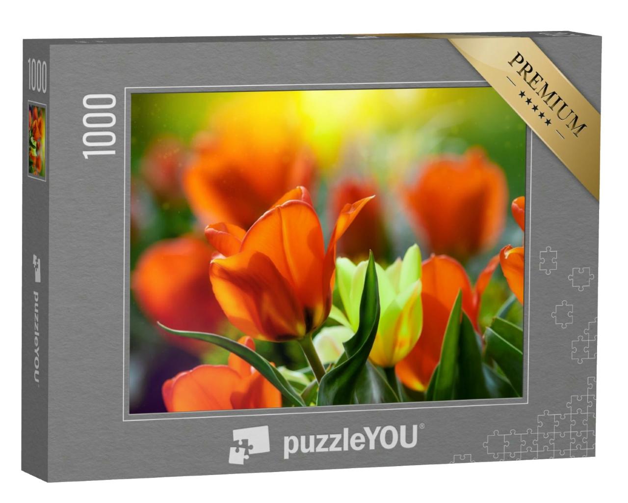 Puzzle 1000 Teile „Tulpenblüte: bunte Tulpen blühen“