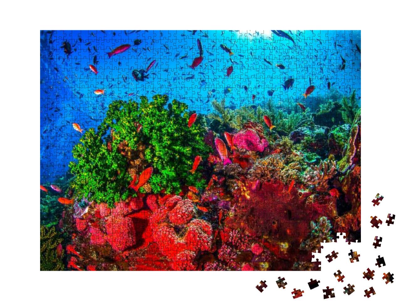 Puzzle 1000 Teile „Unterwasser-Korallenlandschaft: Korallenfische, Meeresleben, Unterwasserwelt“