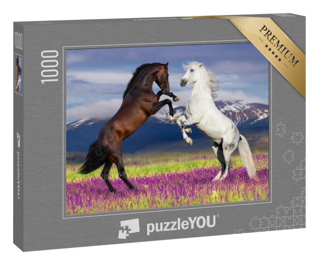 Puzzle 1000 Teile „Wilde Schönheit: Zwei tanzende Pferde“