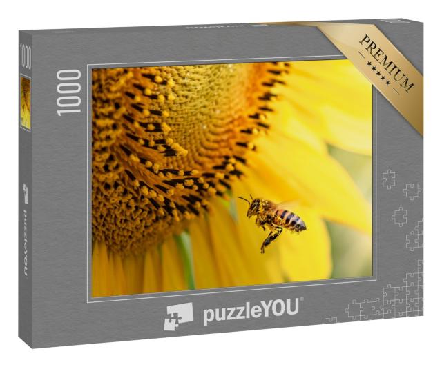 Puzzle 1000 Teile „Honigbiene bestäubt Sonnenblumenpflanze“