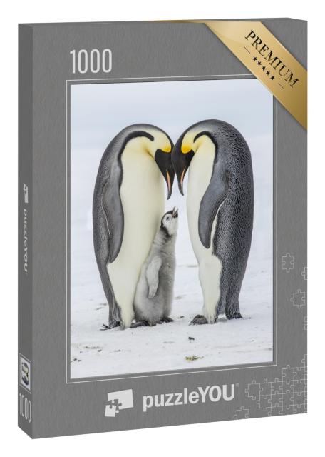 Puzzle 1000 Teile „Kaiserpinguin-Küken zwischen seinen Eltern“