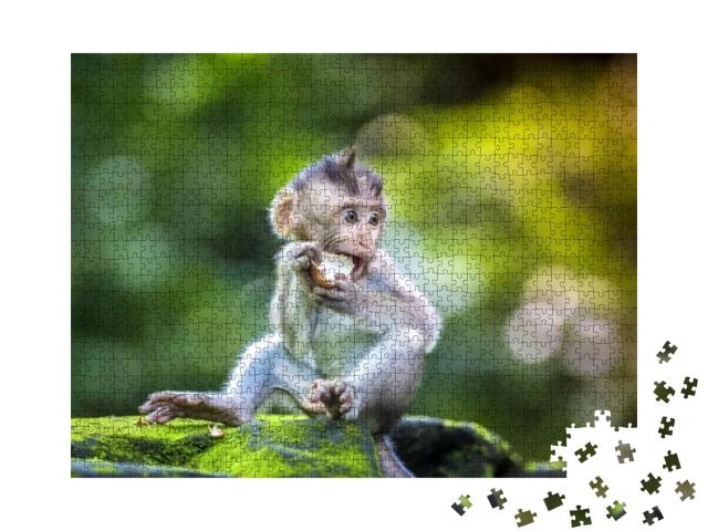 Puzzle 1000 Teile „Kleiner Baby-Affe, Affenwald von Ubud, Bali, Indonesien“