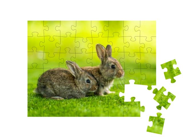 Puzzle 48 Teile „Zwei kleine Kaninchen auf der grünen Wiese“