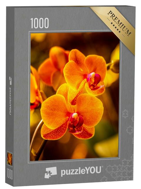 Puzzle 1000 Teile „Leuchtende Orchideenblüte in Orange“
