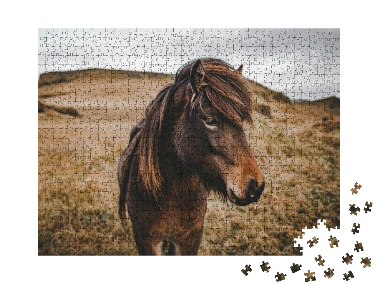 Puzzle 1000 Teile „Wunderschönes Island-Pferd in Nahaufnahme“