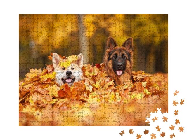 Puzzle 1000 Teile „Zwei Hunde spielen im Herbstlaub“