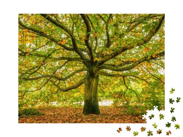 Puzzle 1000 Teile „Uralter Baum im Herbst“