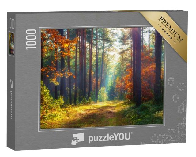 Puzzle 1000 Teile „Herbstliche Naturlandschaft.“