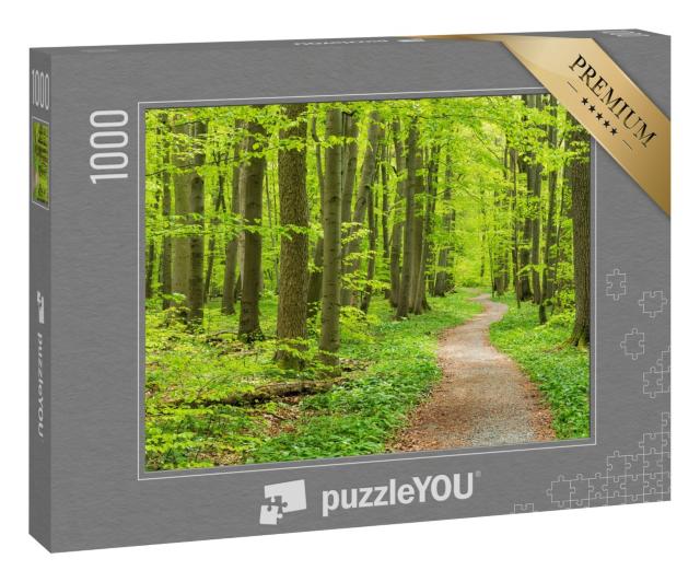 Puzzle 1000 Teile „Wanderweg durch den Buchenwald im Frühling, Nationalpark Hainich“