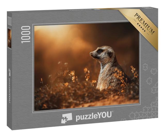 Puzzle 1000 Teile „Erdmännchen: Detailporträt“