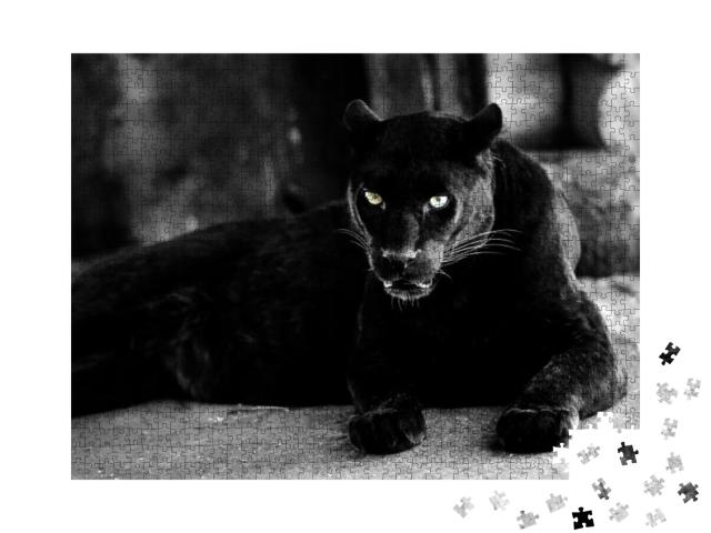 Puzzle 1000 Teile „Schöner schwarzer Panther: eine Großkatze“