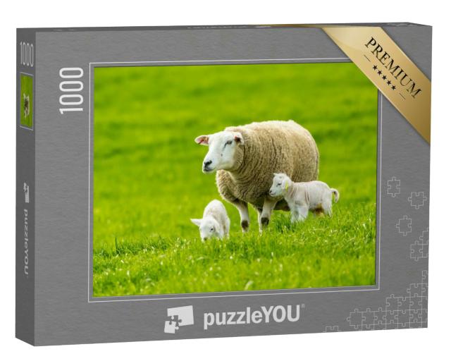Puzzle 1000 Teile „Schaf mit neugeborenen Zwillingslämmern auf einer saftigen grünen Wiese im Frühling“
