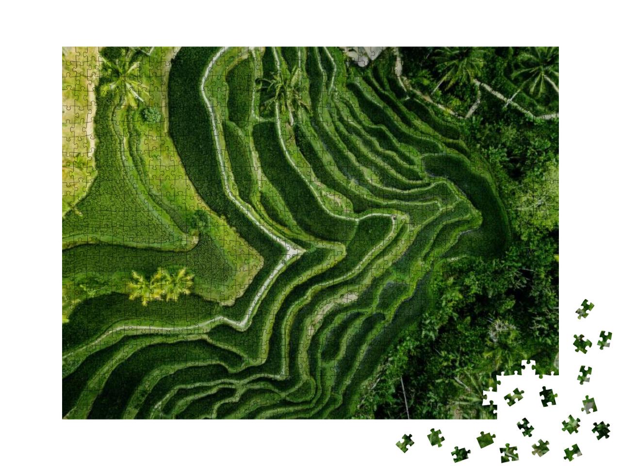 Puzzle 1000 Teile „Reisplantage in Bali von oben, Indonesien“