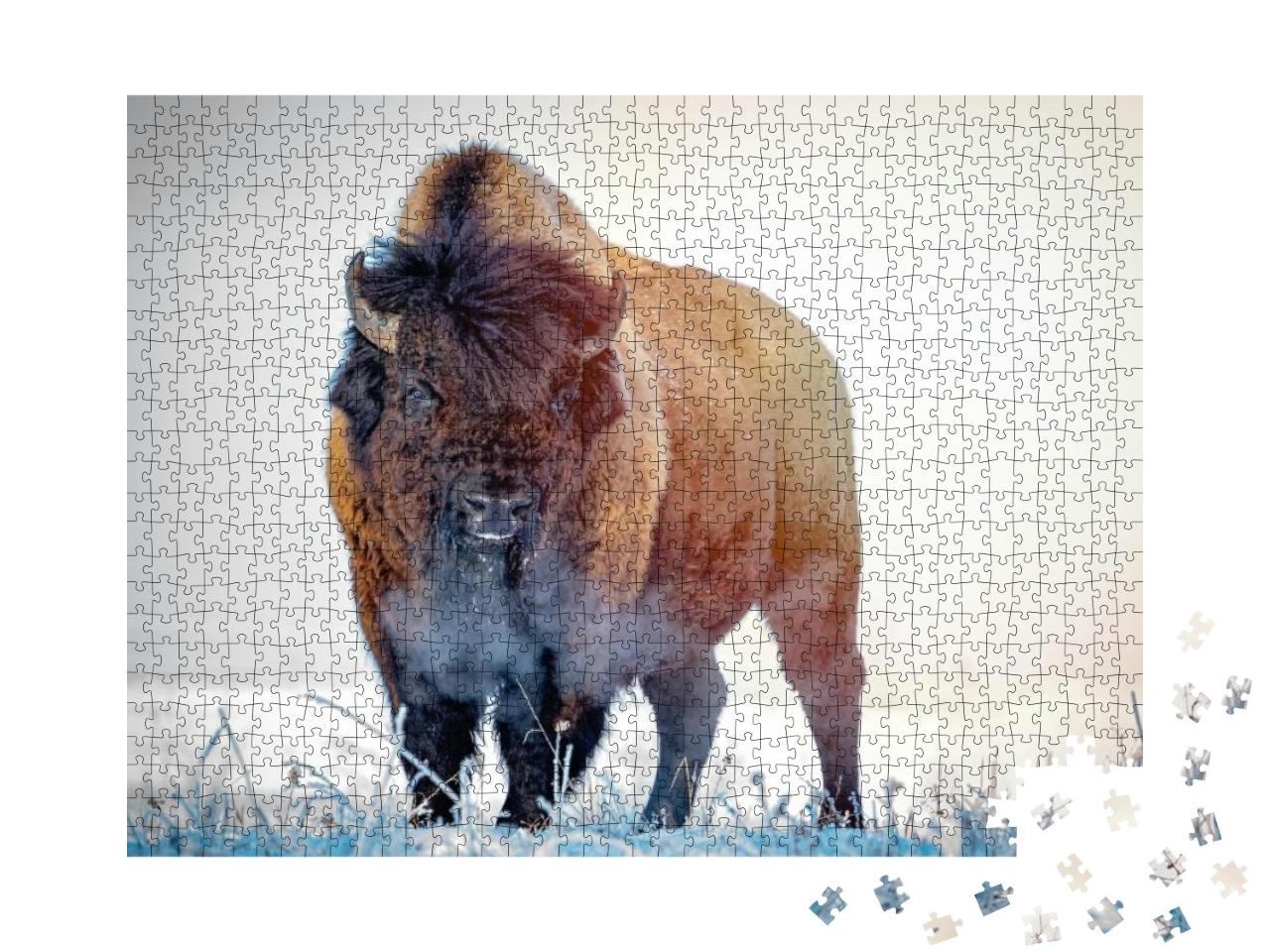 Puzzle 1000 Teile „Präriewisent an einem frostigen Wintermorgen“