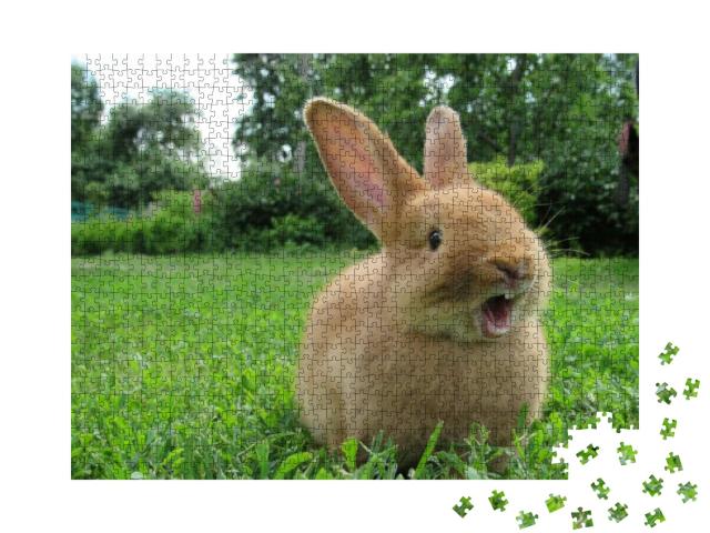 Puzzle 1000 Teile „Kleines gähnendes Kaninchen“