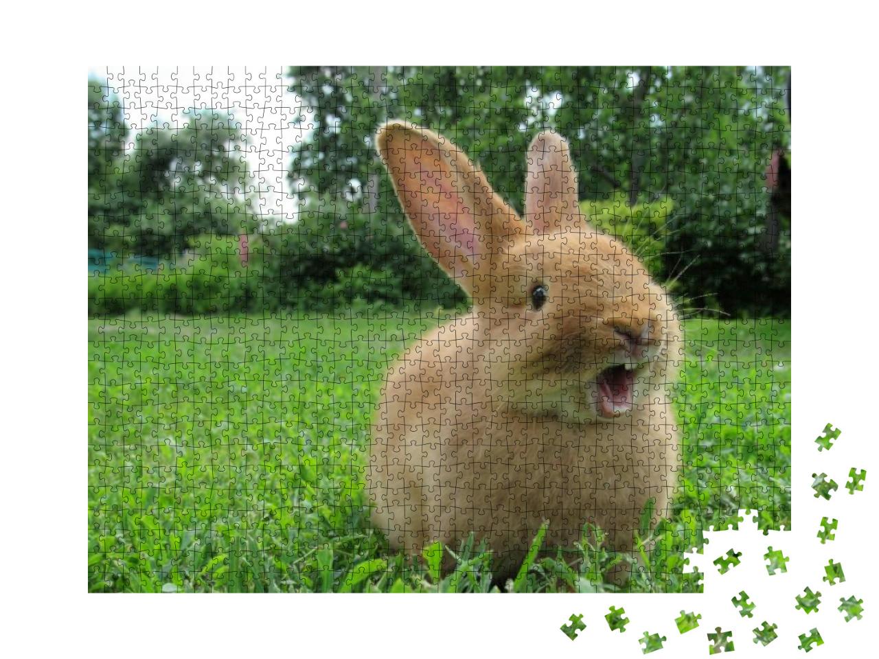 Puzzle 1000 Teile „Kleines gähnendes Kaninchen“