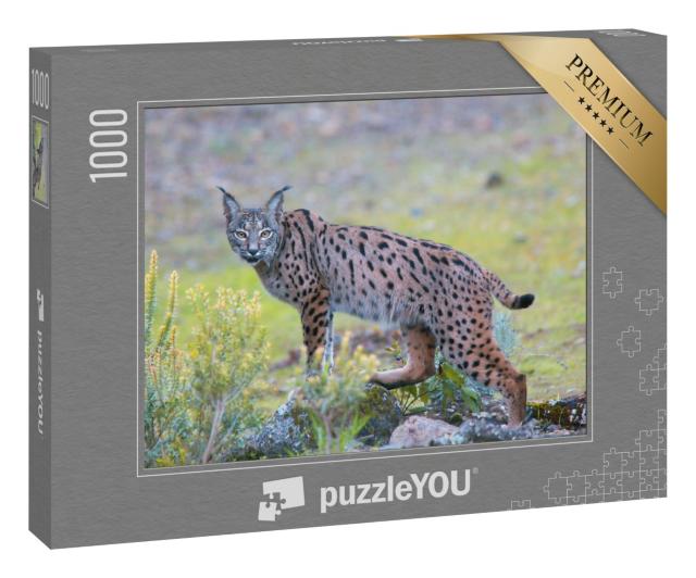 Puzzle 1000 Teile „Iberischer Luchs in der Sierra Morena, Andalusien“