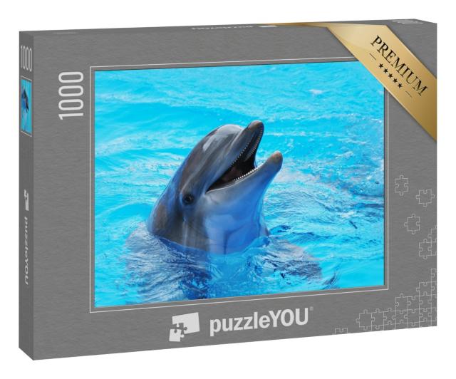 Puzzle 1000 Teile „Delphine in einem Pool“