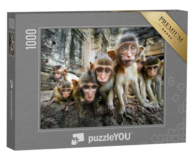Puzzle 1000 Teile „Neugierige Affenbabys, Lopburi, Thailand“