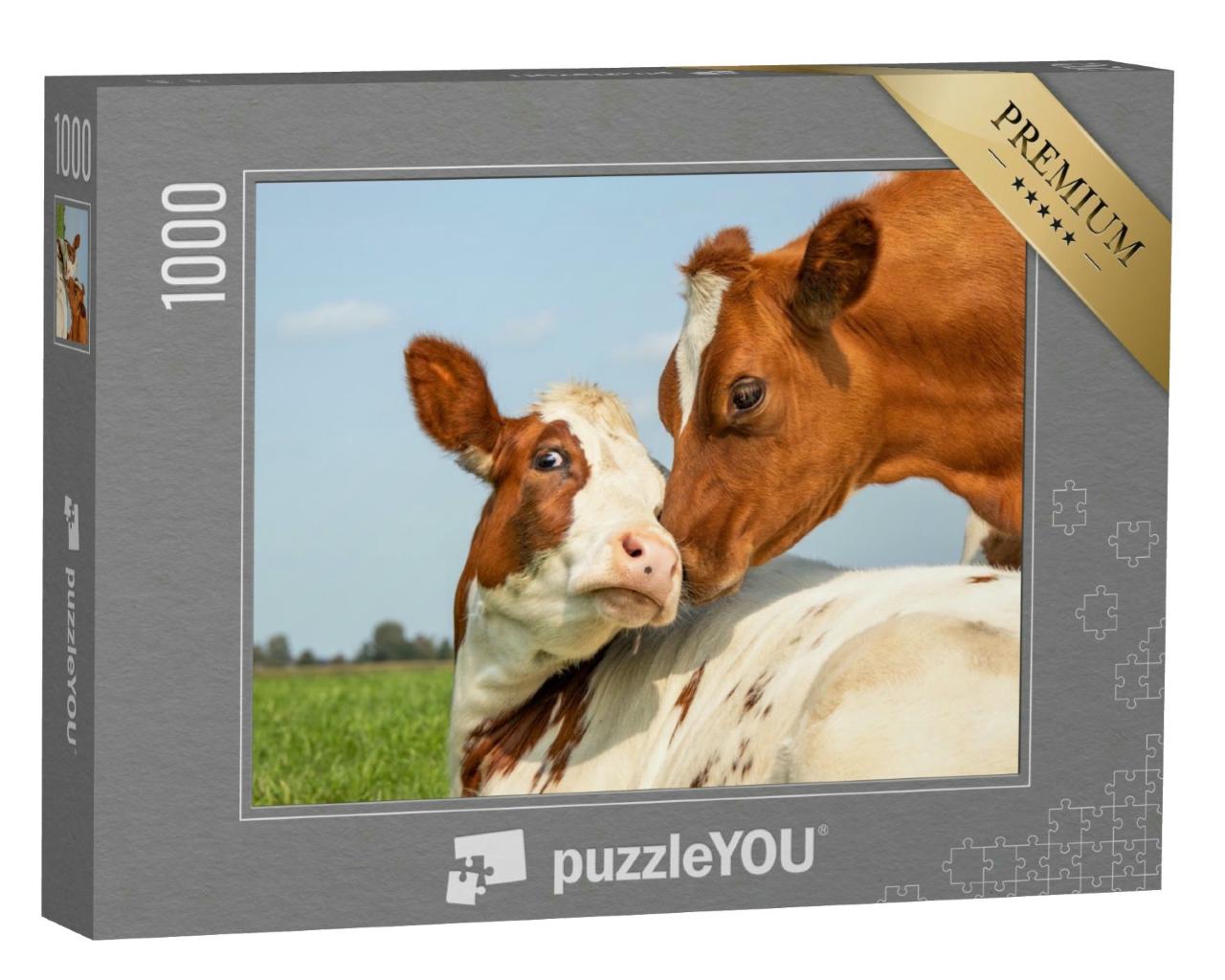 Puzzle 1000 Teile „Kuh und Kälbchen“