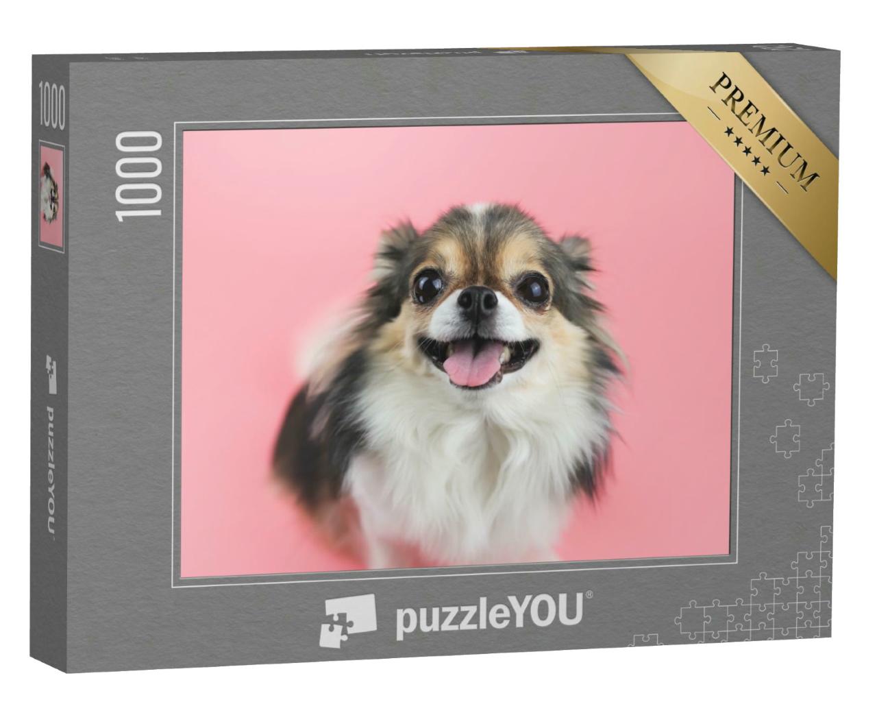 Puzzle 1000 Teile „Nahaufnahme: Chihuahua mit langen Haaren und rosa Zunge“