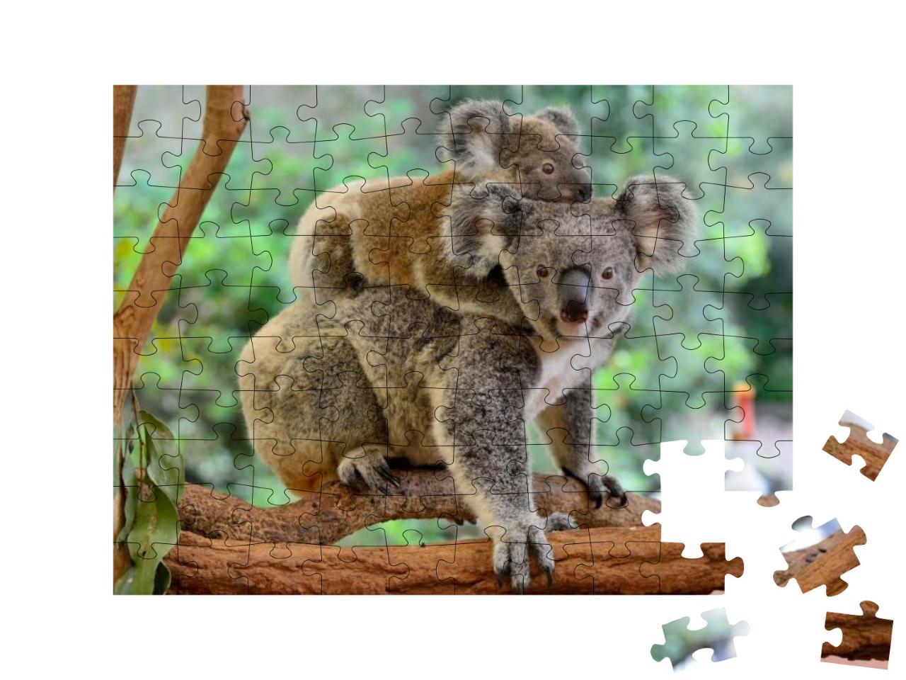 Puzzle 100 Teile „Koala-Mutter mit Baby auf dem Rücken auf einem Eukalyptusbaum“