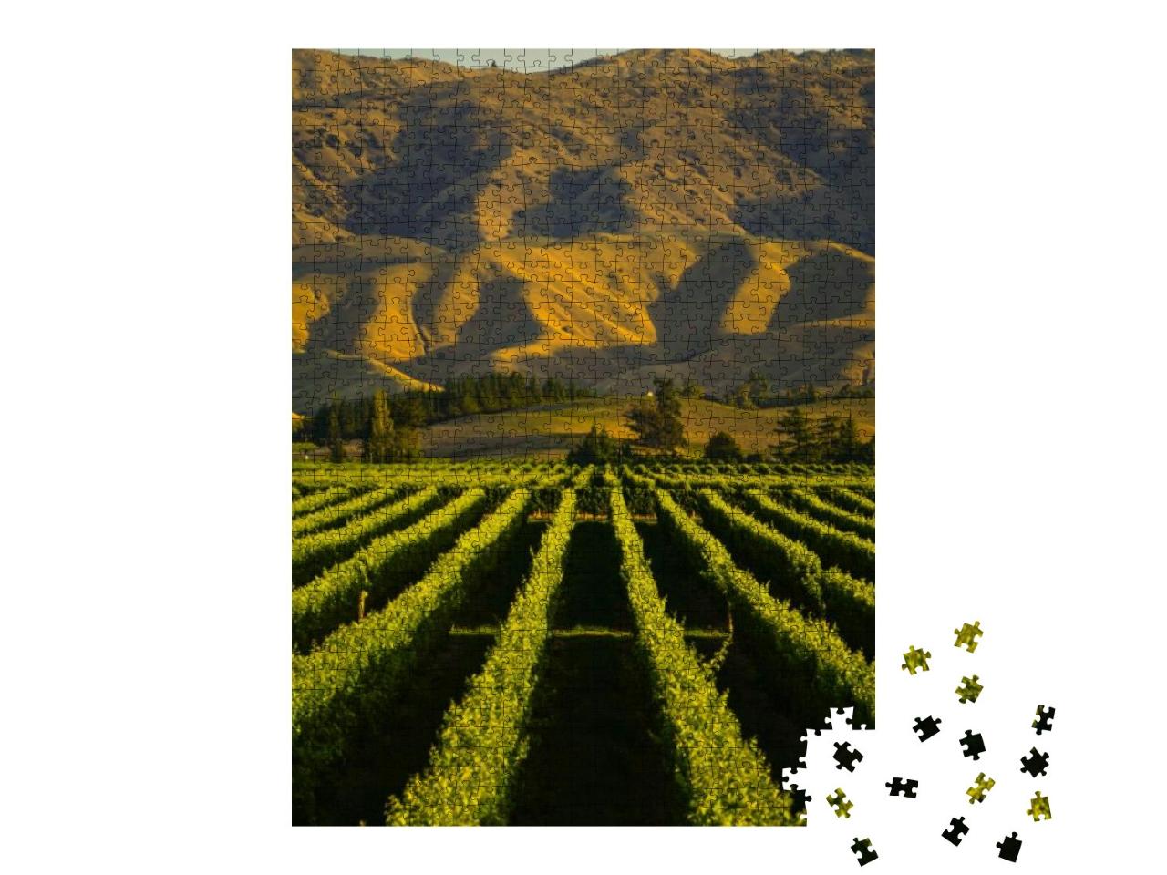 Puzzle 1000 Teile „Reihe von schönen Weinbergen vor Sonnenuntergang mit Berg in Blenheim, Neuseeland“