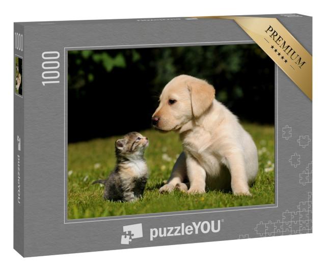 Puzzle 1000 Teile „Katze und Hund“