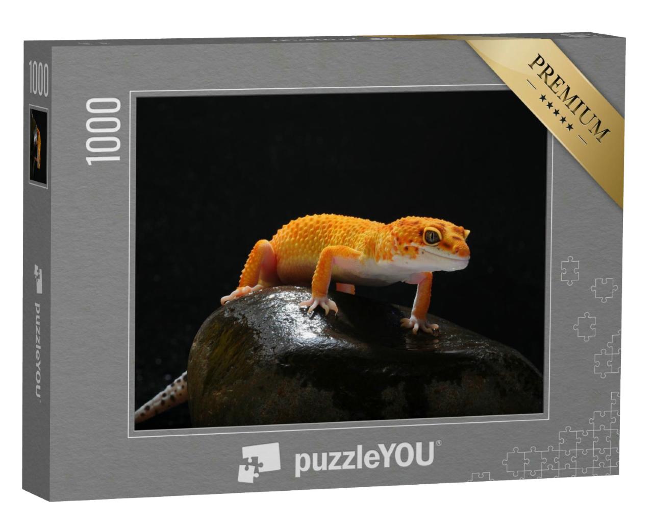 Puzzle 1000 Teile „Gecko, Eidechse, Leopard-Eidechsengecko“