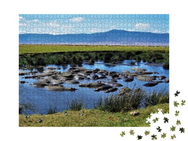 Puzzle 1000 Teile „Nilpferdbecken, Ngorongoro-Krater, Tansania“