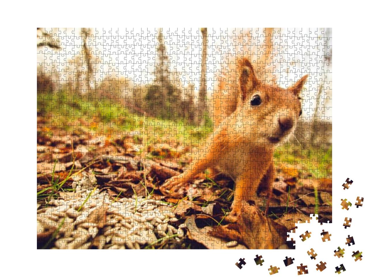 Puzzle 1000 Teile „Eichhörnchen: ein Nagetier aus dem Wald“