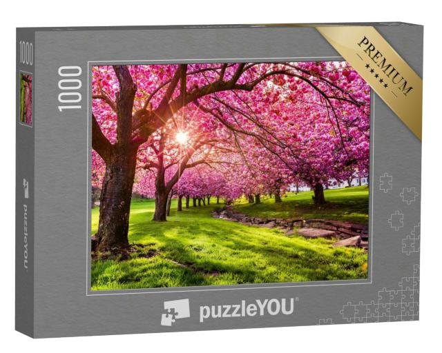 Puzzle 1000 Teile „Kirschblüten, im Hurd Park, Dover, New Jersey“