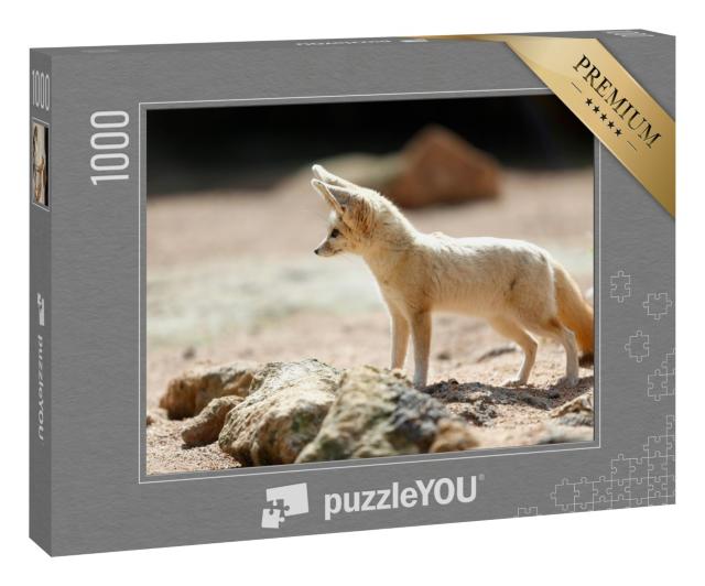 Puzzle 1000 Teile „Der Fennek-Fuchs, auch bekannt als Wüstenfuchs“