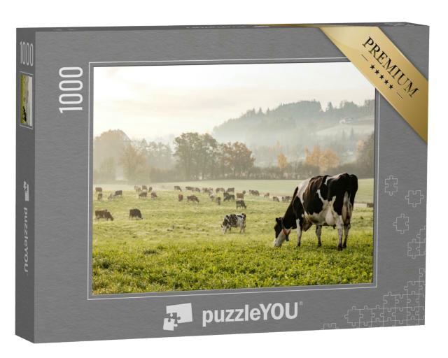 Puzzle 1000 Teile „Holsteinkühe an einem kalten Herbstmorgen auf einer Weide in der Schweiz“