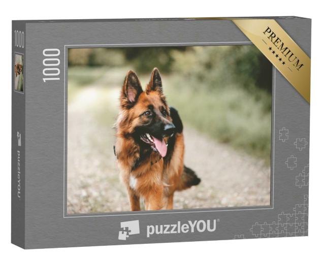 Puzzle 1000 Teile „Nahaufnahme eines ausgewachsenen Deutschen Schäferhundes“