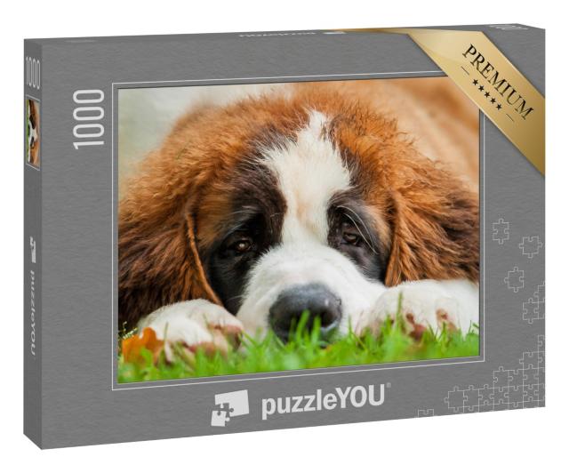 Puzzle 1000 Teile „Porträt eines Bernhardinerwelpen, der im Gras liegt“