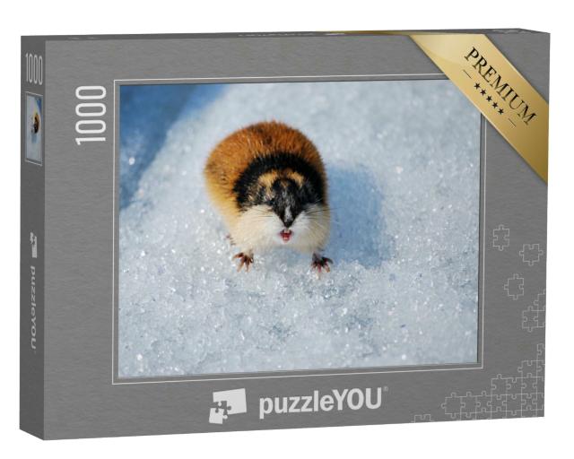 Puzzle 1000 Teile „Wütender Lemming im Schnee zeigt seine Zähne“