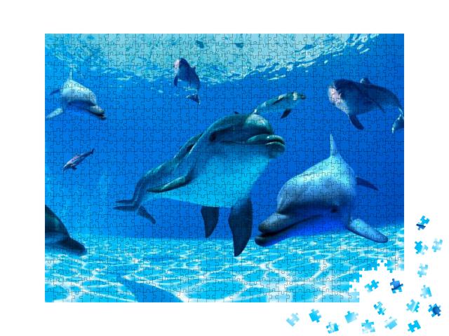 Puzzle 1000 Teile „Delphine schwimmen in den tiefen Gewässern“