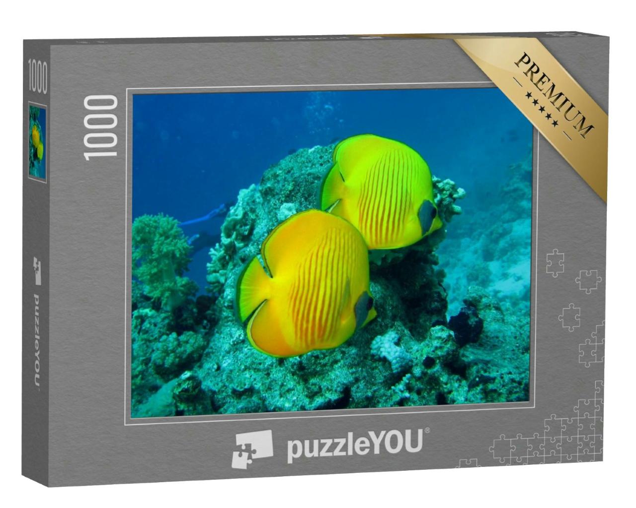 Puzzle 1000 Teile „Schönes und vielfältiges Korallenriff mit Fischen des Roten Meeres in Ägypten“