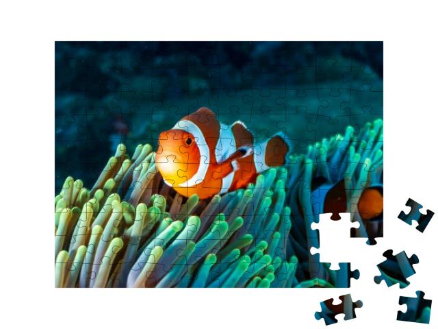 Puzzle 100 Teile „Bunter Clownfisch in einer Anemone im Korallenriff“