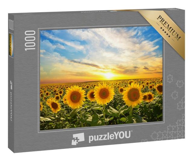 Puzzle 1000 Teile „Feld von blühenden Sonnenblumen im Sonnenuntergang“