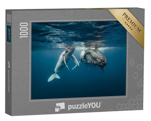 Puzzle 1000 Teile „Eine Buckelwal-Mutter und ihr Kalb schwimmen nebeneinander im kristallklaren Wasser“