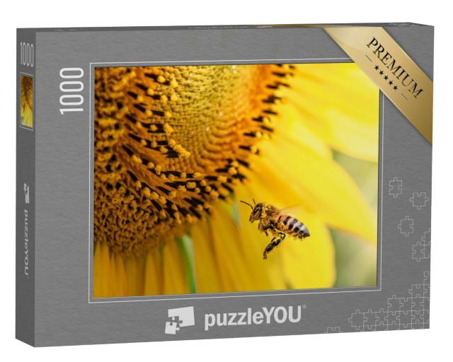 Puzzle 1000 Teile „Honigbiene bestäubt Sonnenblumenpflanze“