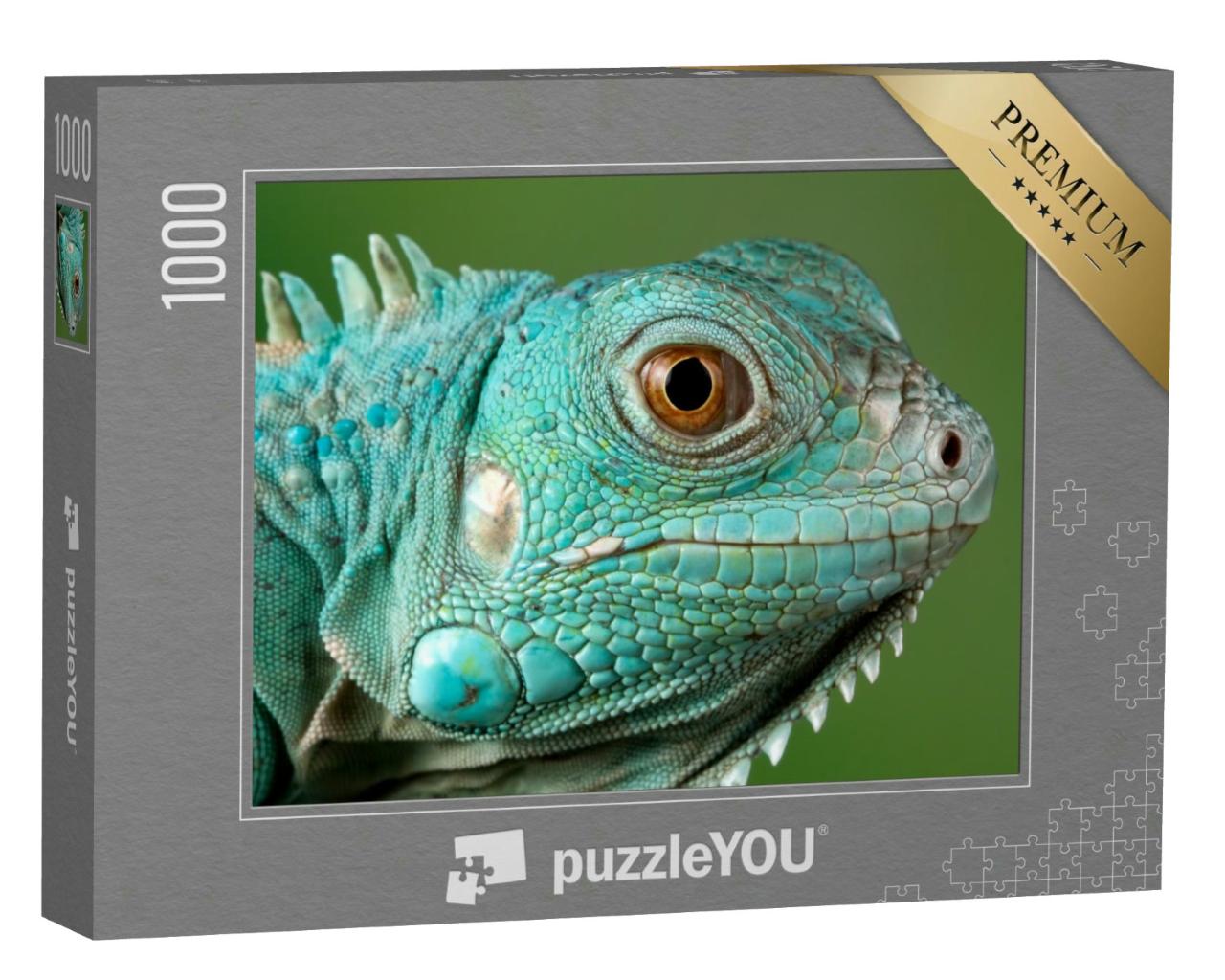 Puzzle 1000 Teile „Blauer Leguan: Nahaufnahme vom Kopf“
